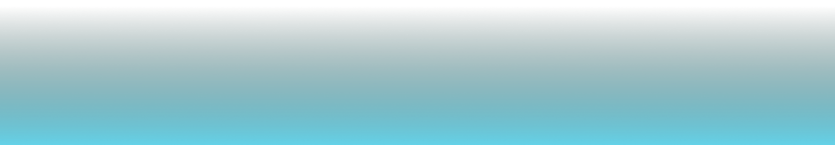 overlay1